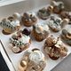 Cupcakes op bestelling