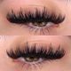 Dolly Lash Set