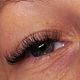 Volume Lashes 3D-6D
