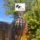 knotless braids