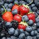 FRESH BERRIES