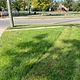 Yard cut