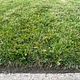 Defined yard edging