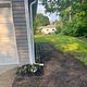 Yard repair package (smaller yard)