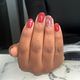 New set Gelpolish