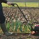 Tuin frezen voor moestuin, ...