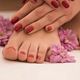 Pedi Shellac + Mantenimiento PolyGel