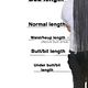 Normal lenght