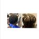 Twists