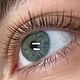 Royal Treatments Lash Volume Lift