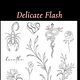 Delicate Flash 💓