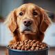 Howl! Nutrition Seminar