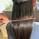 Caucasian/Asian - Short Length