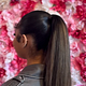 ponytail (with extension)