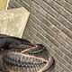 Cornrows 6