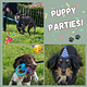 Puppy Party