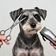 Mediano Corte a Máquina Schnauzer