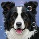Baño Pŕemium Collie