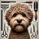 Corte a Máquina Maltipoo