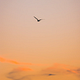 Complete Nervous System Reset - 2hr