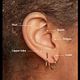 Ear Piercings