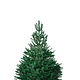 Kerstboom M (Nordmann)