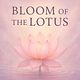 Bloom of the Lotus 30-min Reiki session