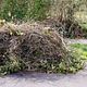 Yard debris removal