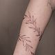 2hours session