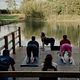Yoga by the lake