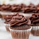 Cacao Mini Cupcakes