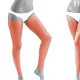 Full Legs