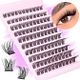 Cluster Lash
