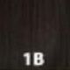 1b