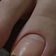 Combi pedicure zonder gellak zonder voetzolen