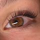 Lashlift + tint