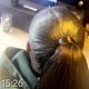 Ponytail