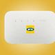 ROUTER PLUS 100GB