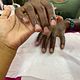 Men's Manicure