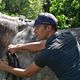 Sportmassage paard/pony