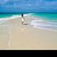 Safari blue beach trip