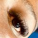 Soft Hybrid Lashes