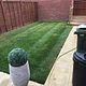 Grass cut