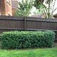 Hedge trim