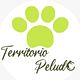 Cita Peluqueria