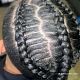 Stitch braids