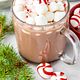 Peppermint Hot Chocolate