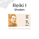 Reiki I cursus