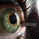 Iridology