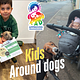 Kids Around Dogs - Fear of dogs in children package